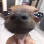 машА