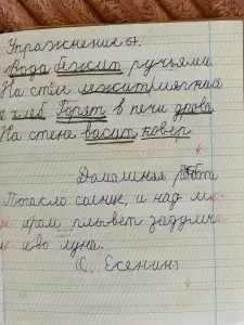 Фотография Лучики 0